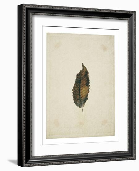 Beech leaf on yellowed paper, beige-Axel Killian-Framed Photographic Print