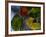 Beech Leaves, Cansiglio, Veneto, Italy, Europe-Carlo Morucchio-Framed Photographic Print
