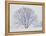 Beech Tree-null-Framed Premier Image Canvas