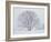 Beech Tree-null-Framed Photographic Print