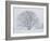 Beech Tree-null-Framed Photographic Print