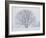 Beech Tree-null-Framed Photographic Print