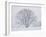 Beech Tree-null-Framed Photographic Print