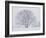 Beech Tree-null-Framed Photographic Print