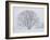 Beech Tree-null-Framed Photographic Print