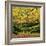 Beech Trees and Fall Foliage, with Lichen on Fallen Branches-Roy Rainford-Framed Photographic Print