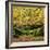 Beech Trees and Fall Foliage, with Lichen on Fallen Branches-Roy Rainford-Framed Photographic Print