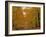 Beech Trees in Autumn, Surrey, England-Jon Arnold-Framed Photographic Print