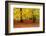 Beech trees in autumn woodland, Upper Bavaria, Germany-Konrad Wothe-Framed Photographic Print