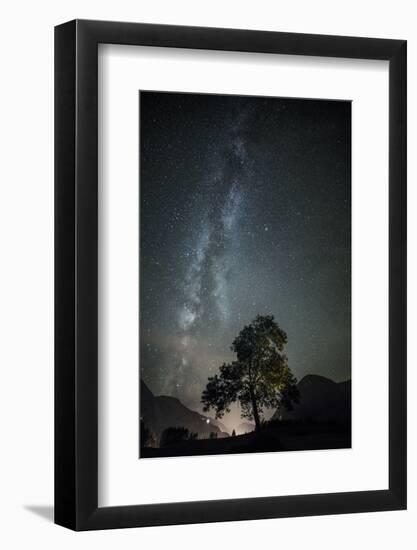 Beech with the Milky Way in the Background-Niki Haselwanter-Framed Photographic Print