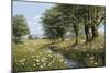 Beeches And Daisies-Bill Makinson-Mounted Giclee Print