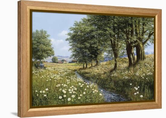 Beeches And Daisies-Bill Makinson-Framed Premier Image Canvas