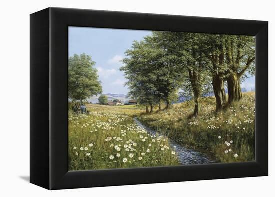 Beeches And Daisies-Bill Makinson-Framed Premier Image Canvas