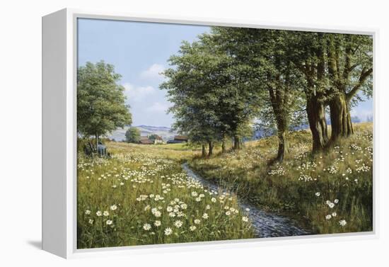 Beeches And Daisies-Bill Makinson-Framed Premier Image Canvas