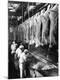Premium Photographic Print