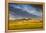 Beef Cattle Graze in Farm Pasture, Sunrise, Tobacco Root Mountains, Montana, USA-Chuck Haney-Framed Premier Image Canvas