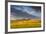 Beef Cattle Graze in Farm Pasture, Sunrise, Tobacco Root Mountains, Montana, USA-Chuck Haney-Framed Photographic Print