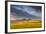 Beef Cattle Graze in Farm Pasture, Sunrise, Tobacco Root Mountains, Montana, USA-Chuck Haney-Framed Photographic Print