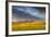 Beef Cattle Graze in Farm Pasture, Sunrise, Tobacco Root Mountains, Montana, USA-Chuck Haney-Framed Photographic Print