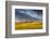 Beef Cattle Graze in Farm Pasture, Sunrise, Tobacco Root Mountains, Montana, USA-Chuck Haney-Framed Photographic Print