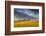 Beef Cattle Graze in Farm Pasture, Sunrise, Tobacco Root Mountains, Montana, USA-Chuck Haney-Framed Photographic Print