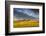 Beef Cattle Graze in Farm Pasture, Sunrise, Tobacco Root Mountains, Montana, USA-Chuck Haney-Framed Photographic Print