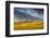 Beef Cattle Graze in Farm Pasture, Sunrise, Tobacco Root Mountains, Montana, USA-Chuck Haney-Framed Photographic Print