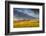 Beef Cattle Graze in Farm Pasture, Sunrise, Tobacco Root Mountains, Montana, USA-Chuck Haney-Framed Photographic Print