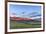 Beef cattle grazing below Walling Reef on the Rocky Mountain Front at sunrise near Dupuyer, Montana-Chuck Haney-Framed Photographic Print