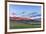 Beef cattle grazing below Walling Reef on the Rocky Mountain Front at sunrise near Dupuyer, Montana-Chuck Haney-Framed Photographic Print