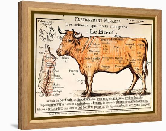 Beef: Diagram Depicting the Different Cuts of Meat (Colour Litho)-French School-Framed Premier Image Canvas