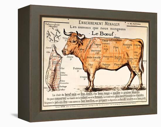 Beef: Diagram Depicting the Different Cuts of Meat (Colour Litho)-French School-Framed Premier Image Canvas