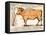 Beef: Diagram Depicting the Different Cuts of Meat (Colour Litho)-French School-Framed Premier Image Canvas