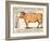Beef: Diagram Depicting the Different Cuts of Meat (Colour Litho)-French School-Framed Giclee Print