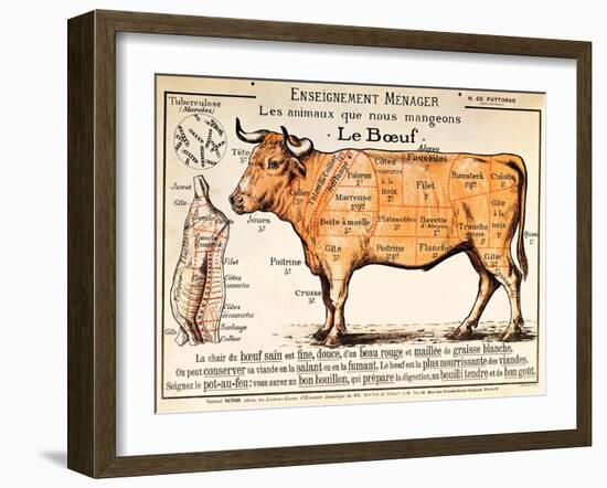 Beef: Diagram Depicting the Different Cuts of Meat (Colour Litho)-French School-Framed Giclee Print