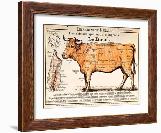 Beef: Diagram Depicting the Different Cuts of Meat (Colour Litho)-French School-Framed Giclee Print