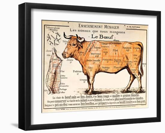 Beef: Diagram Depicting the Different Cuts of Meat (Colour Litho)-French School-Framed Giclee Print