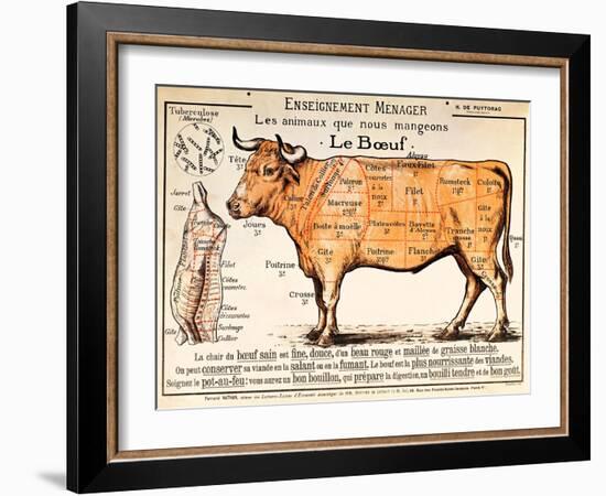 Beef: Diagram Depicting the Different Cuts of Meat (Colour Litho)-French School-Framed Giclee Print