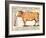 Beef: Diagram Depicting the Different Cuts of Meat (Colour Litho)-French School-Framed Giclee Print