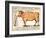 Beef: Diagram Depicting the Different Cuts of Meat (Colour Litho)-French School-Framed Giclee Print