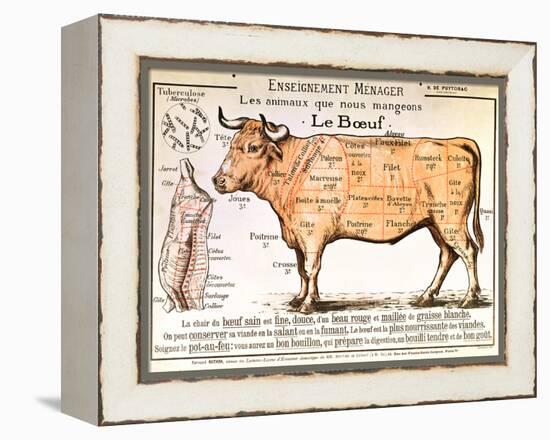 Beef: Diagram Depicting the Different Cuts of Meat-null-Framed Premier Image Canvas