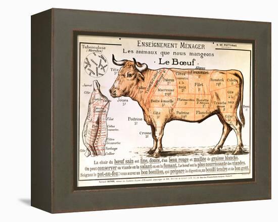 Beef: Diagram Depicting the Different Cuts of Meat-null-Framed Premier Image Canvas