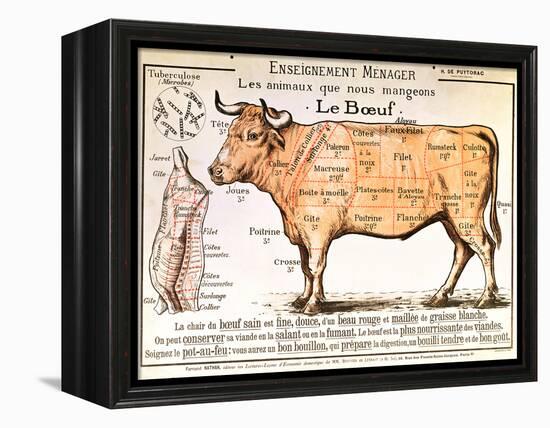 Beef: Diagram Depicting the Different Cuts of Meat-null-Framed Premier Image Canvas