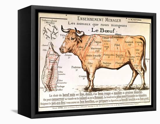 Beef: Diagram Depicting the Different Cuts of Meat-null-Framed Premier Image Canvas