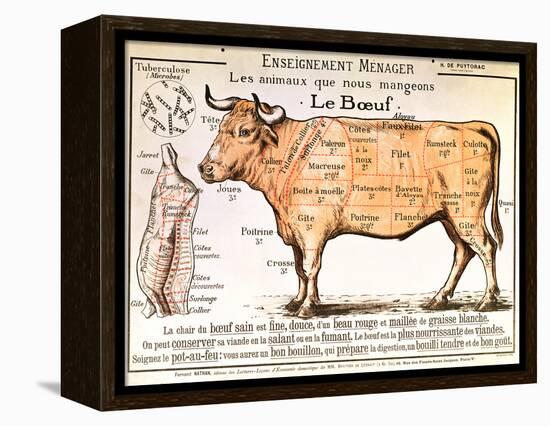 Beef: Diagram Depicting the Different Cuts of Meat-null-Framed Premier Image Canvas