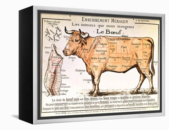 Beef: Diagram Depicting the Different Cuts of Meat-null-Framed Premier Image Canvas