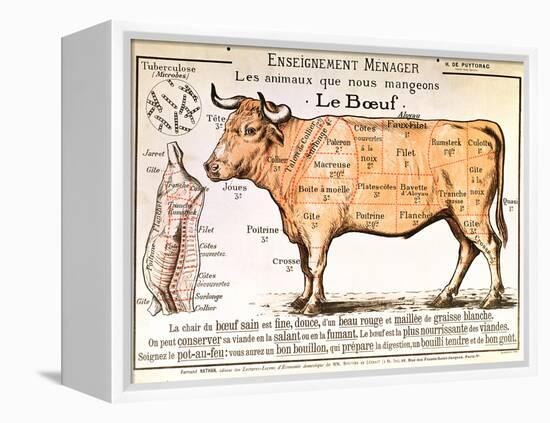 Beef: Diagram Depicting the Different Cuts of Meat-null-Framed Premier Image Canvas