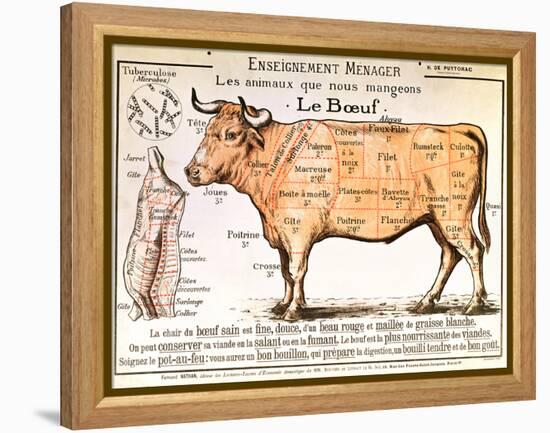 Beef: Diagram Depicting the Different Cuts of Meat-null-Framed Premier Image Canvas