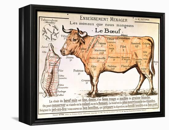 Beef: Diagram Depicting the Different Cuts of Meat-null-Framed Premier Image Canvas