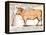 Beef: Diagram Depicting the Different Cuts of Meat-null-Framed Premier Image Canvas